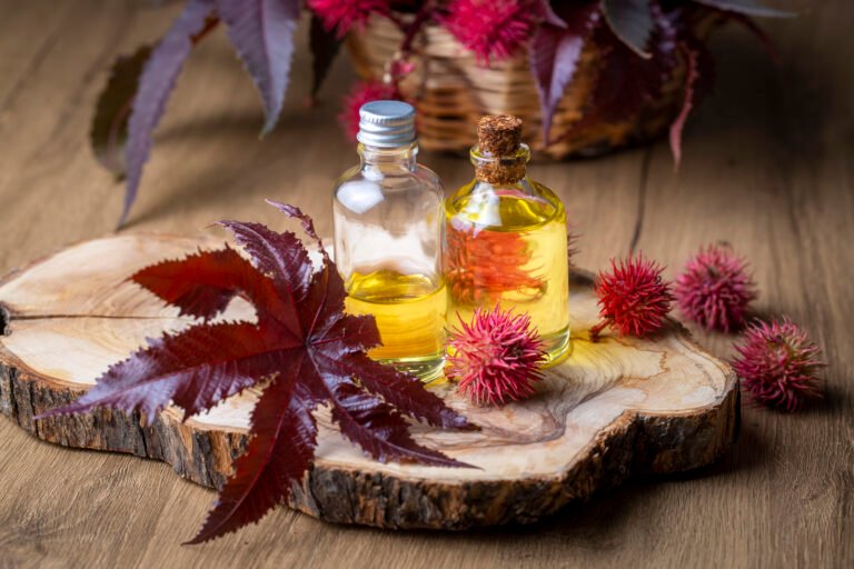 Castor oil manufacturers | castor oil products | Runzoer india | castor oil manufacturers in Gandhinagar | castor oil manufacturers in india