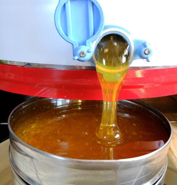 Castor oil manufacturers | castor oil products | Runzoer india | castor oil manufacturers in Gandhinagar | castor oil manufacturers in india Castor oil manufacturers | castor oil products | Runzoer india | castor oil manufacturers in Gandhinagar | castor oil manufacturers in india